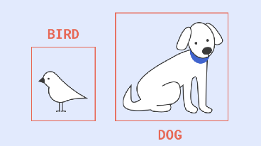 object_detection